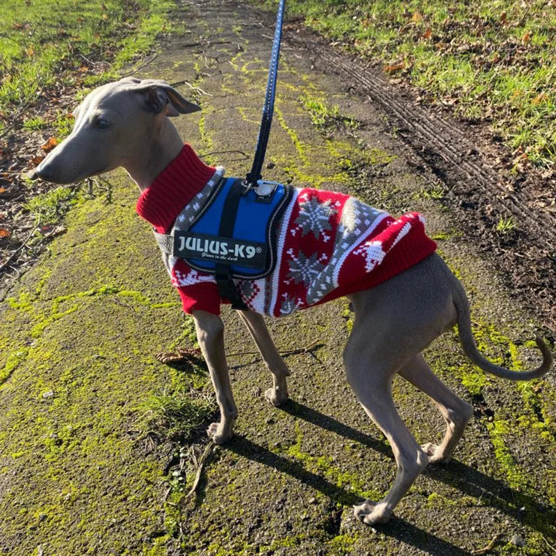 Christmas Elk Puppy Big Dog Sweater for Medium Large Dogs Winter Stripe Pet Clother for Pitbull Greyhound Overalls Pets Clothing