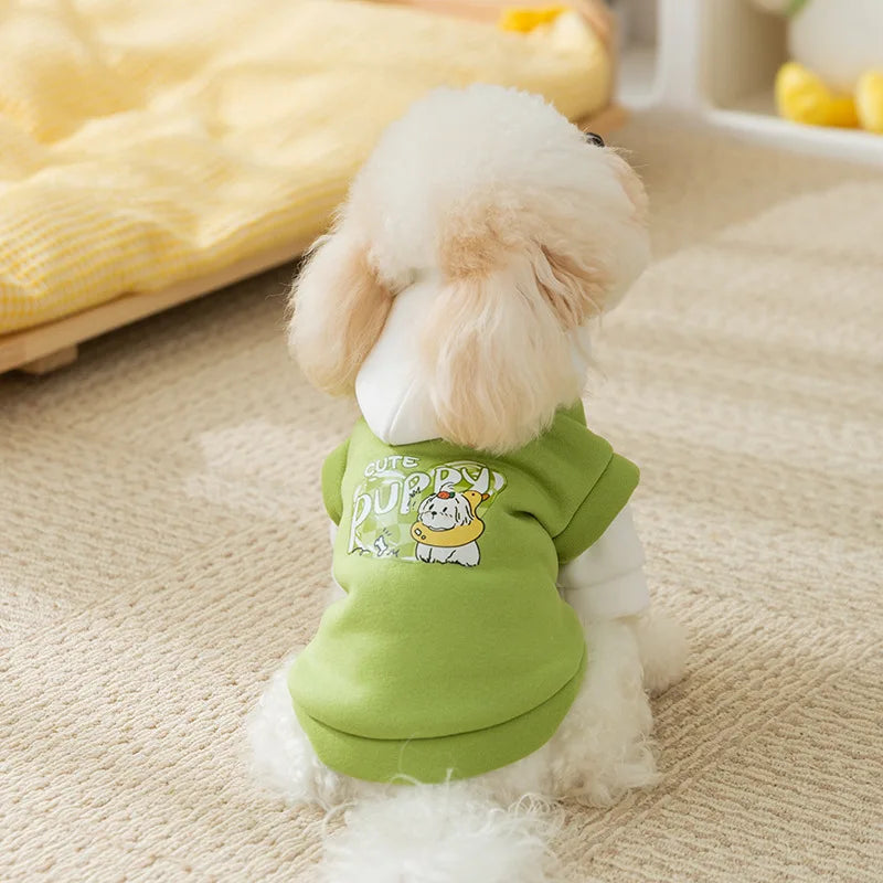 [Autumn and Winter New Product Pre-sale] Autumn and Winter Hat Tide Cool Style Casual Dog Sweater Cat Pet Teddy Clothes