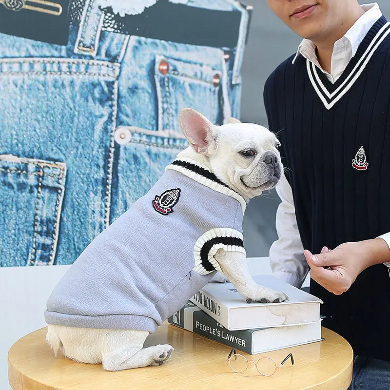 Winter Warm Pet Clothes Dog and Cat Sweater Collegiate Style Puppy Cat Vest Apperal for Teddy Chihuahua French Bulldog