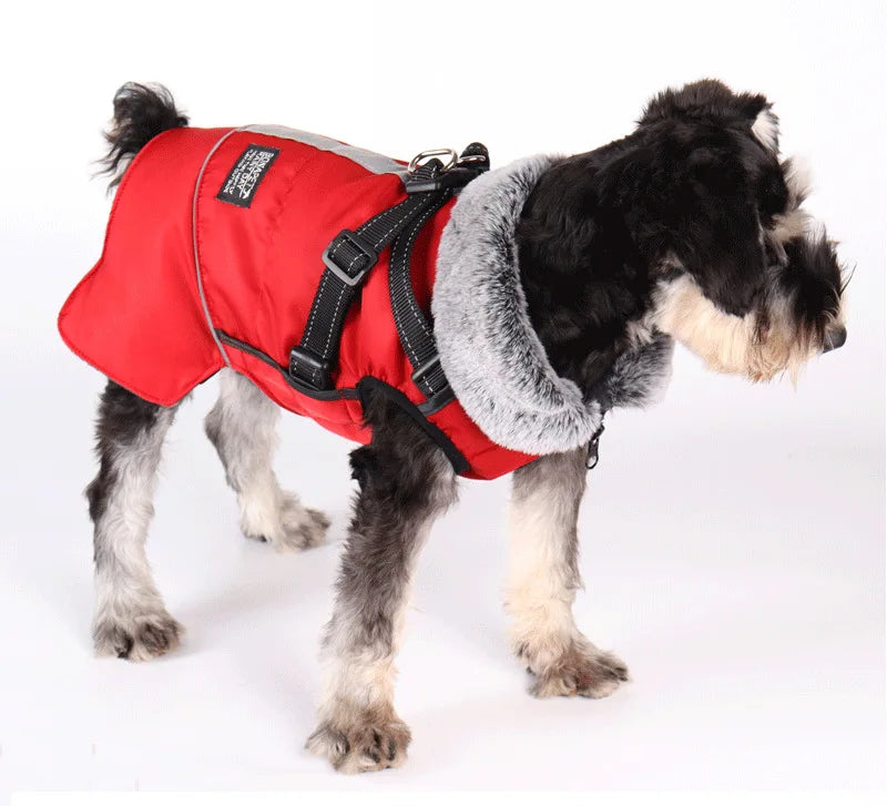 Pet Warm Sweater Collar Cotton Jacket Waterproof Reflective Removable Chest Back Dog Jacket Autumn and Winter Raincoat Clothes