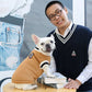 Winter Warm Pet Clothes Dog and Cat Sweater Collegiate Style Puppy Cat Vest Apperal for Teddy Chihuahua French Bulldog