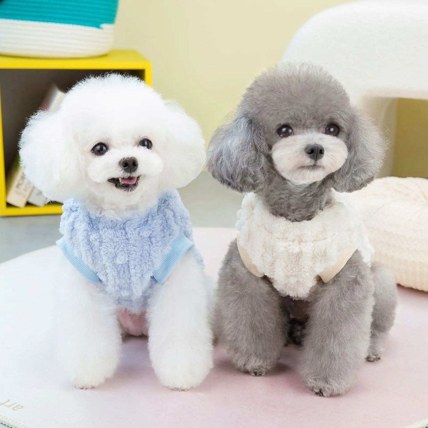 Pet Clothing Dog Clothing Autumn and Winter Clothing New Teddy Cat Winter Pet Clothing Fur Ball Two Legged Sweater Comfortable