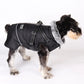 Pet Warm Sweater Collar Cotton Jacket Waterproof Reflective Removable Chest Back Dog Jacket Autumn and Winter Raincoat Clothes