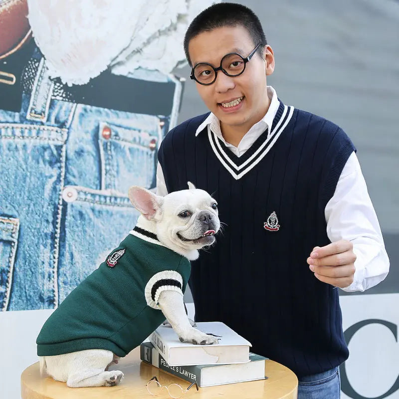 Winter Warm Pet Clothes Dog and Cat Sweater Collegiate Style Puppy Cat Vest Apperal for Teddy Chihuahua French Bulldog