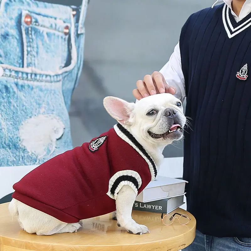 Winter Warm Pet Clothes Dog and Cat Sweater Collegiate Style Puppy Cat Vest Apperal for Teddy Chihuahua French Bulldog