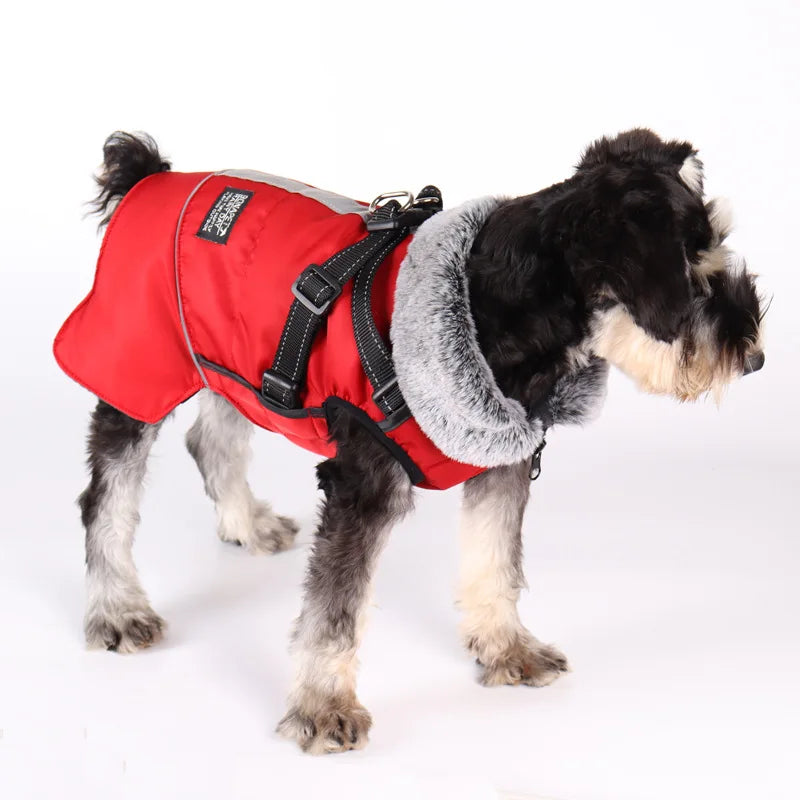 Pet Warm Sweater Collar Cotton Jacket Waterproof Reflective Removable Chest Back Dog Jacket Autumn and Winter Raincoat Clothes