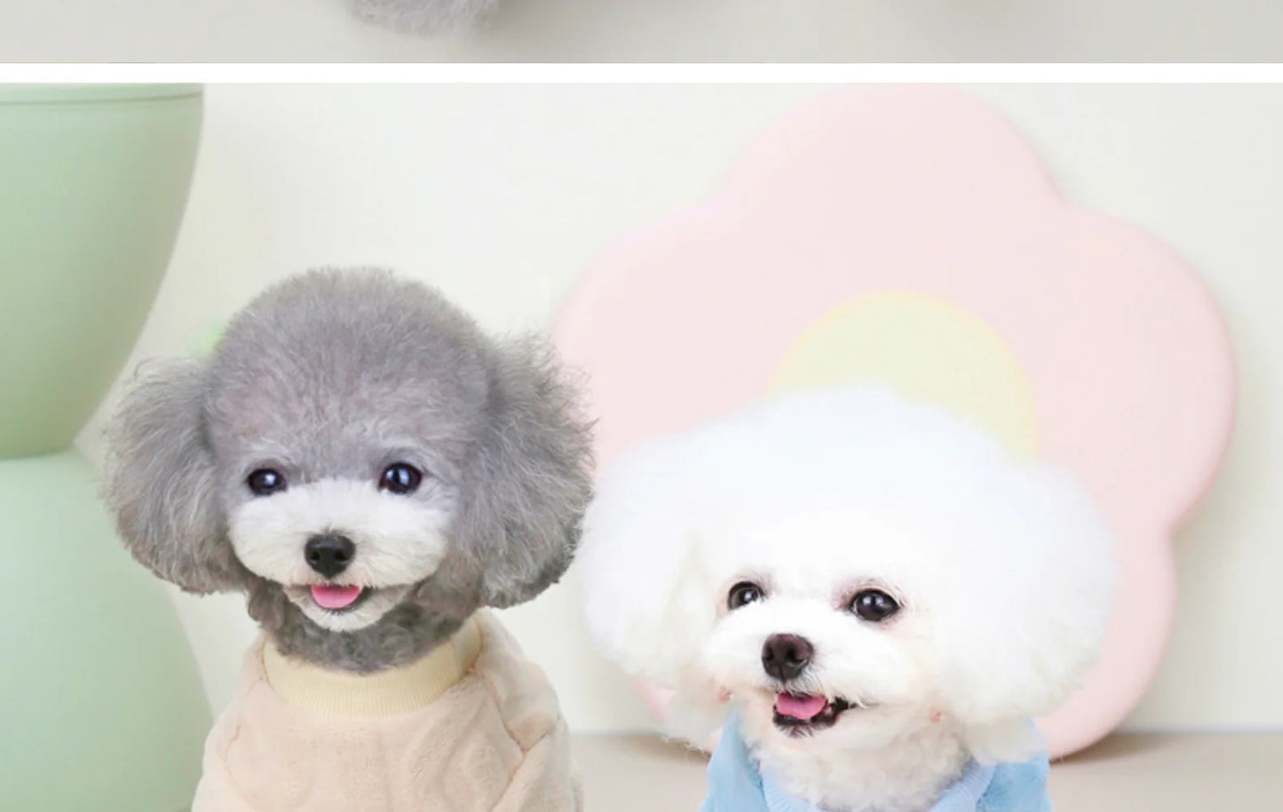 Pet Four Leg Sweater Cat Dog Clothes Autumn and Winter New One-piece Suit Pet Fried Dough Twists Four Leg Coat Dog Pajamas