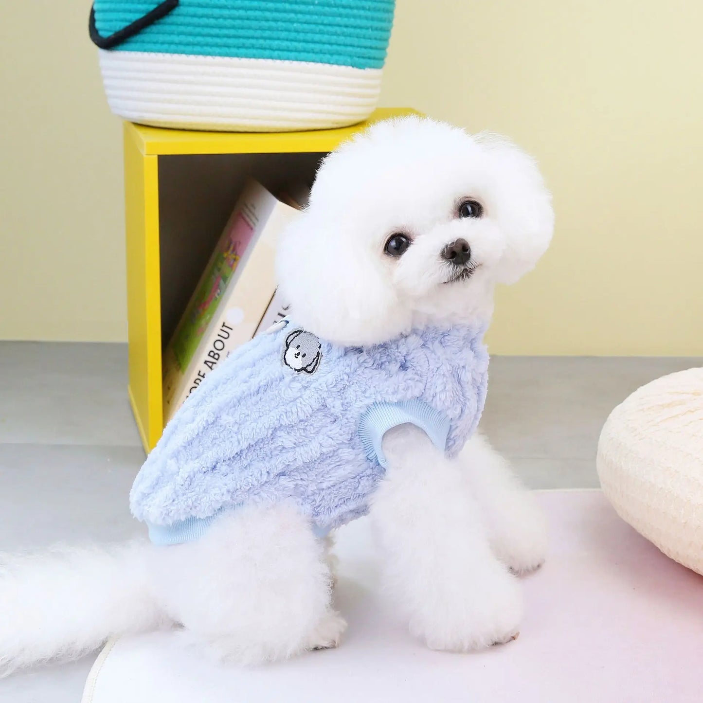 Pet Clothing Dog Clothing Autumn and Winter Clothing New Teddy Cat Winter Pet Clothing Fur Ball Two Legged Sweater Comfortable